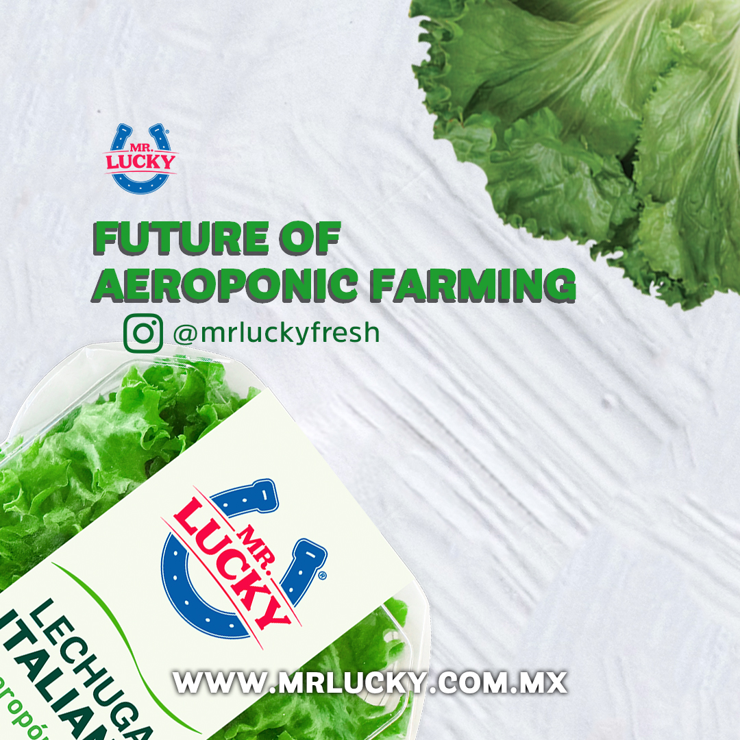 Future of Aeroponic Farming